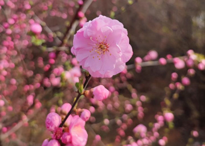 大連開(kāi)發(fā)區(qū)招商局外國(guó)人物傳記翻譯